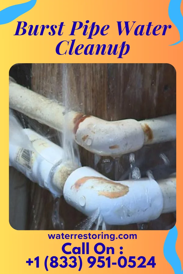Burst Pipe Water Cleanup in Cortland, IL