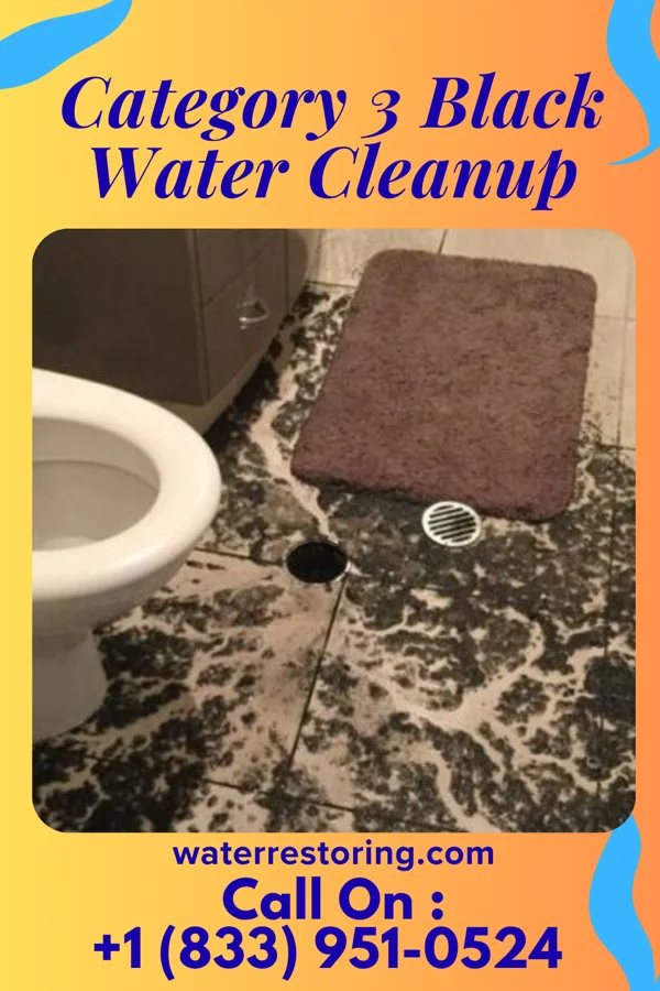 Category 3 Black Water Cleanup in Cortland, IL