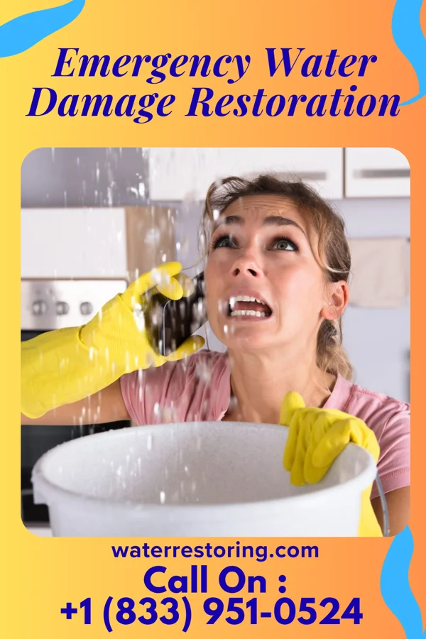 Emergency Water Damage Restoration in Cortland, IL